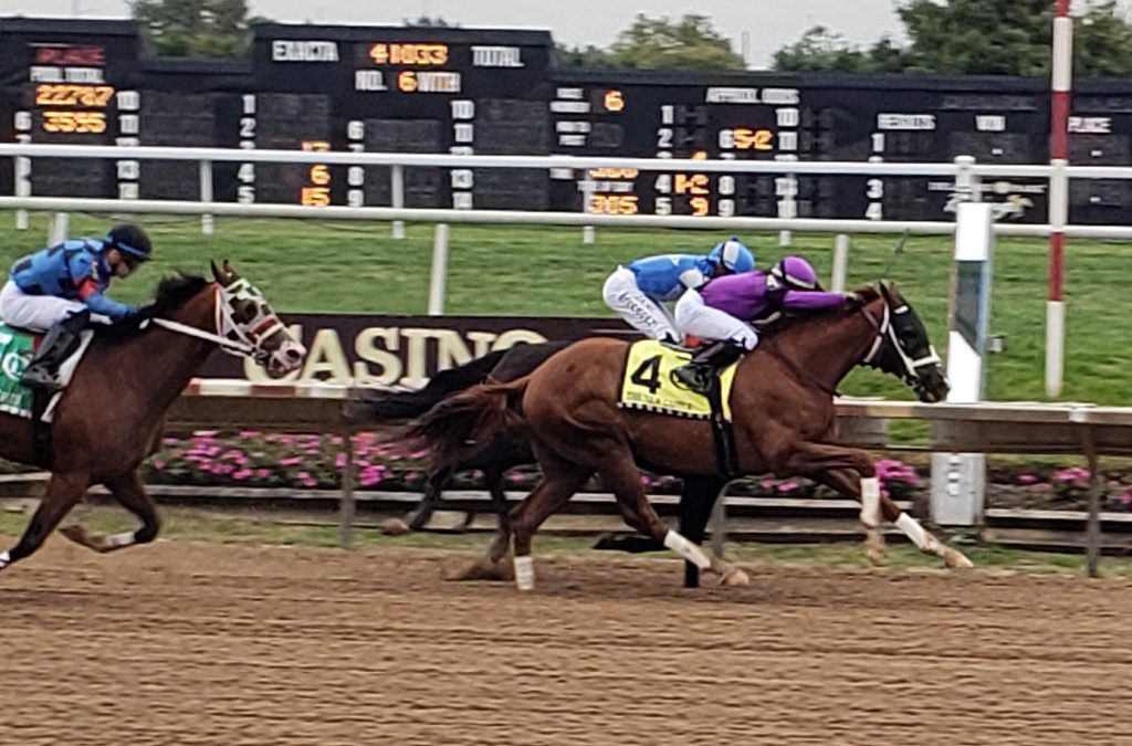 Delaware Park to race 85 days in ’23