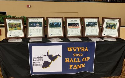 WV-bred Hall of Fame welcomes first class