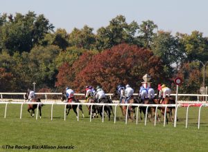 Maryland Million