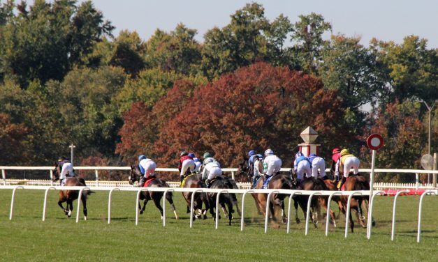 VIDEO: Maryland Million day in a minute