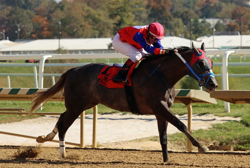Johnyz From Albany, Post Time meet in Md. Juvenile