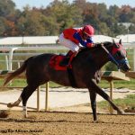 Md Million: Fortheluvofbourbon, Fille d’Esprit deliver
