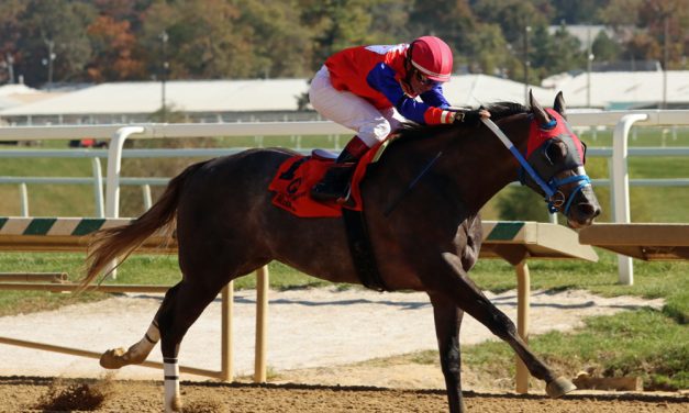 Johnyz From Albany, Post Time meet in Md. Juvenile