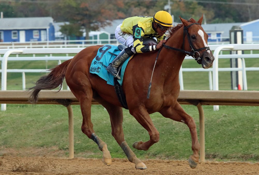 Ournationonparade looks to keep on a roll