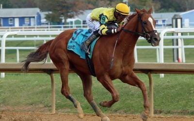 Laurel: Rugged field set for Friday allowance