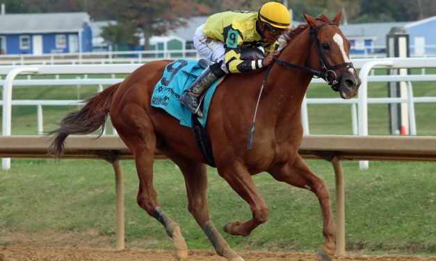 Ournationonparade marches to Maryland Million Classic