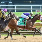 Laurel Park picks and ponderings: October 28, 2022