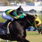 Nick’s Picks: Colonial Downs picks August 15, 2024