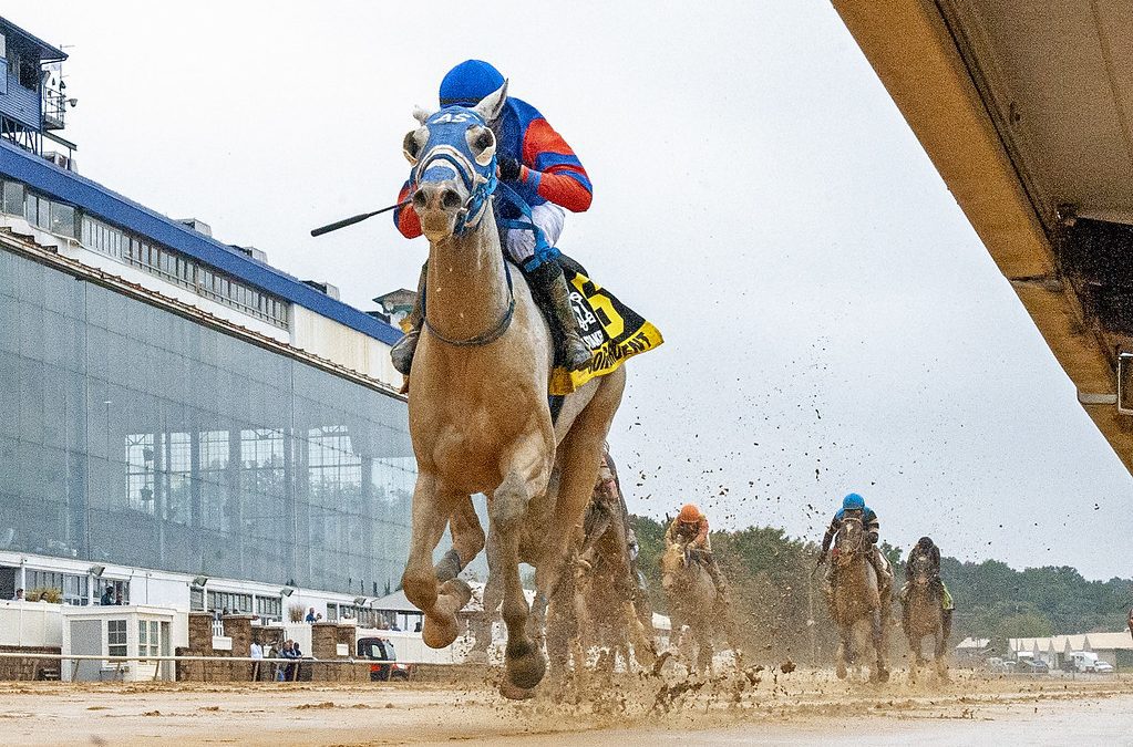 Congruent in shape for Laurel Futurity score