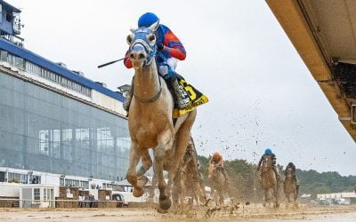 Laurel Futurity winner Congruent aims for Derby berth