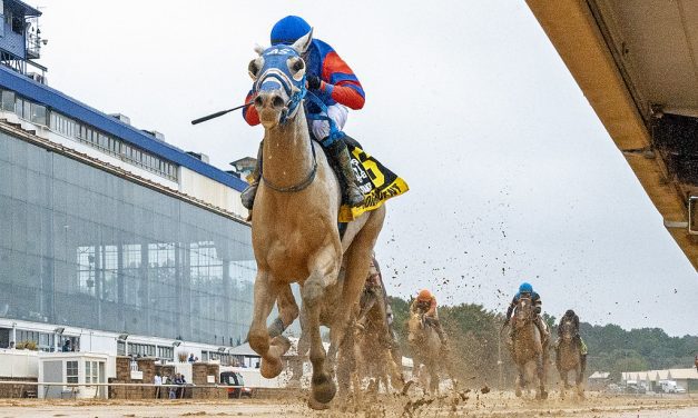 Congruent in shape for Laurel Futurity score