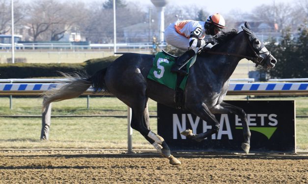 Md. Million: Courageous Girl could try Classic