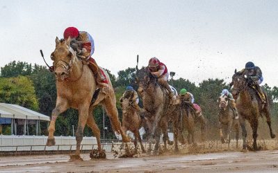 Maryland Racing Commission meeting could be lively affair