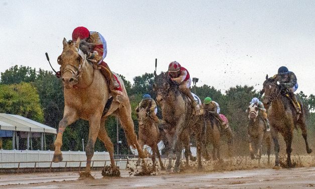 Stakes-quality field heads Laurel Friday feature
