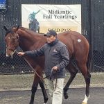 Fasig-Tipton