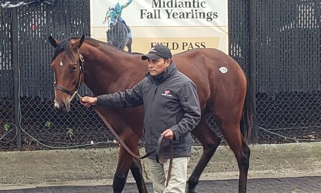 Maryland-breds, sires prominent in Fasig-Tipton yearling sale