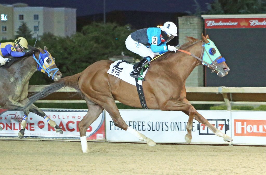 Thankful for the blue-collar horse