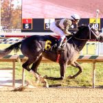 Laurel Park picks and ponderings: October 30, 2022