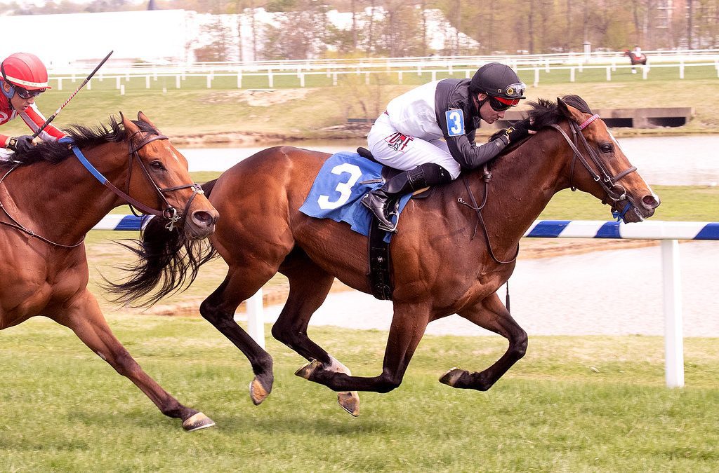 True Valour retired to stand at Northview