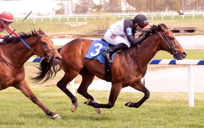 New stallion True Valour to get “a big chance”