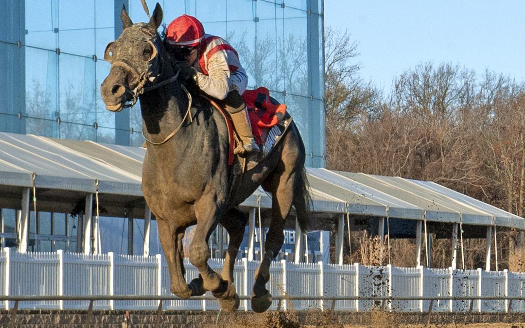 Pimlico Special: The longer the better for Armando R