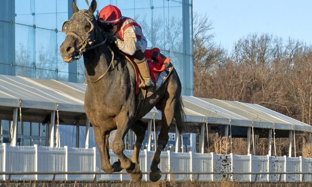 Armando R hunts third straight stakes win in Manfuso