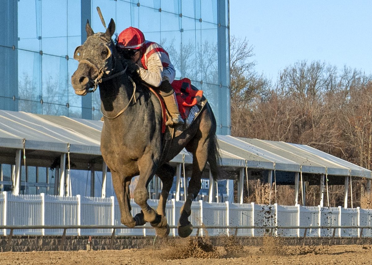 Experts' BlackEyed Susan day picks * The Racing Biz