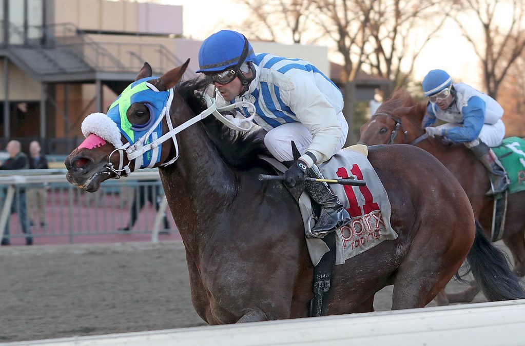 Bourbon Bon Bay enjoys Cornucopia