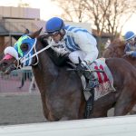 Alwaysinahurry, Fille d’Esprit score in Laurel stakes