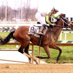 Laurel Park picks and ponderings: November 13, 2022