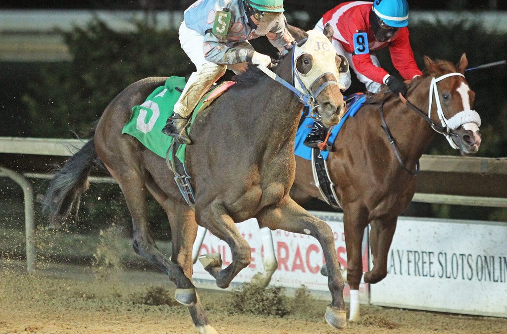 No Love for Juba upsets WV Futurity