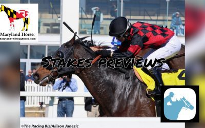 VIDEO: Politely Stakes preview
