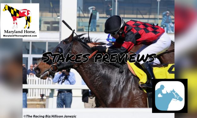 VIDEO: Previewing Laurel Park stakes