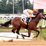 Fasig-Tipton: Racing age horses to spice up sale