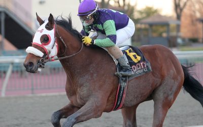Howgreatisnate looks to bounce back, and stay up, in Private Terms