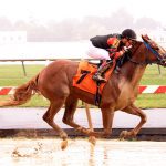First graded win for Repo Rocks, jockey Wolfsont