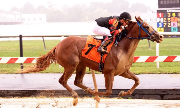 Malibu Moonshine hopes to glow in Md. Juvenile Filly