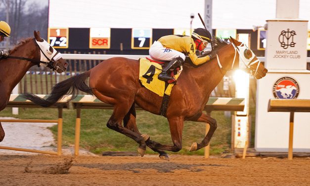Laurel Park just right for Prove Right