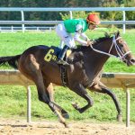 Nick Dilodovico carrying on family business