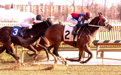 Laurel Park: Which jockeys and trainers are hot Mar. 24?
