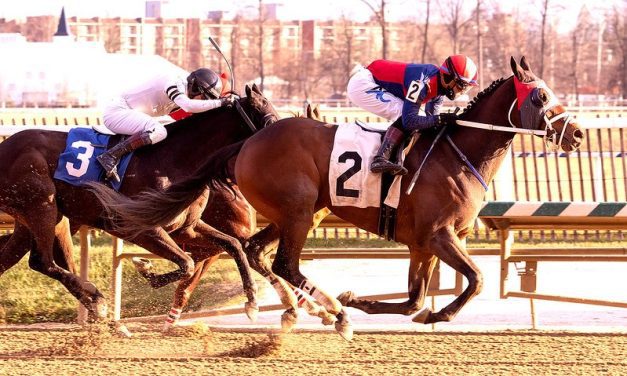 Alwaysinahurry gives Dale Capuano hat trick