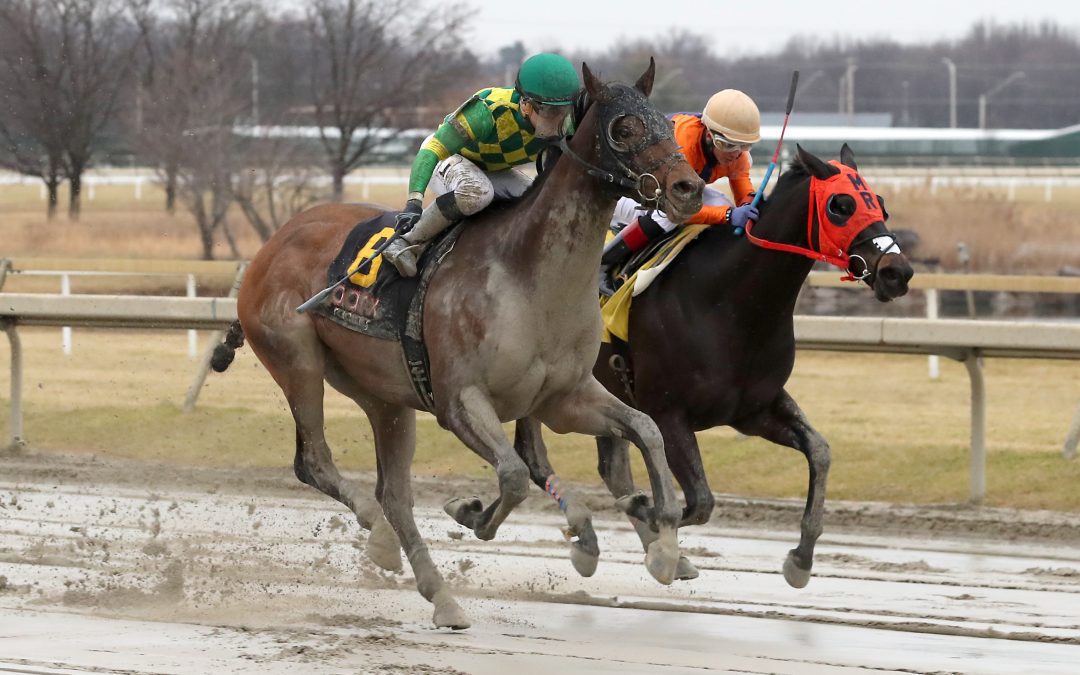 First graded win for Repo Rocks, jockey Wolfsont