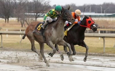 First graded win for Repo Rocks, jockey Wolfsont