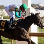 Swayin to and Fro seeks third straight in What A Summer