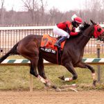 Doug Daniels joins HISA horsemen’s advisory group