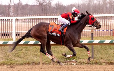 Laurel: Plot the Dots, Award Wanted win Md-bred stakes