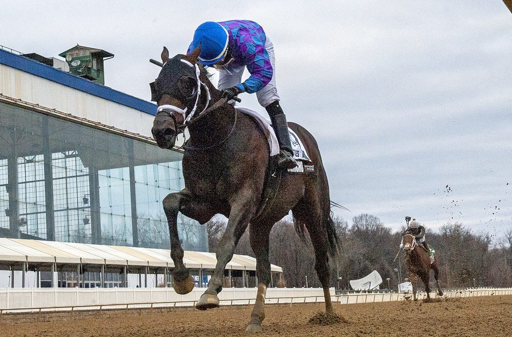 Laurel: Brittany Russell barn sweeps soph stakes