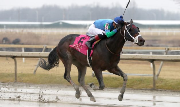 Parx: Recruiter still undefeated, more stakes on tap today