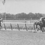 Flightline named Horse of the Year