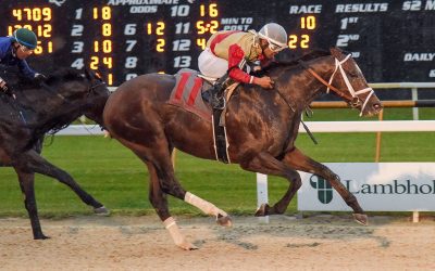 Triple Crown trail: Litigate scores in Sam F. Davis